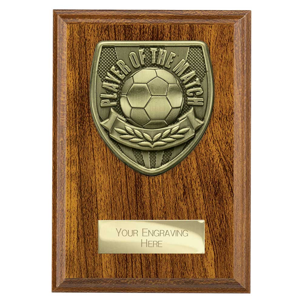 Cobra Plaque Player of Match Award