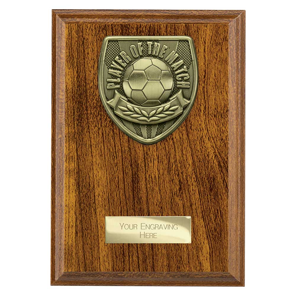 Cobra Plaque Player of Match Award