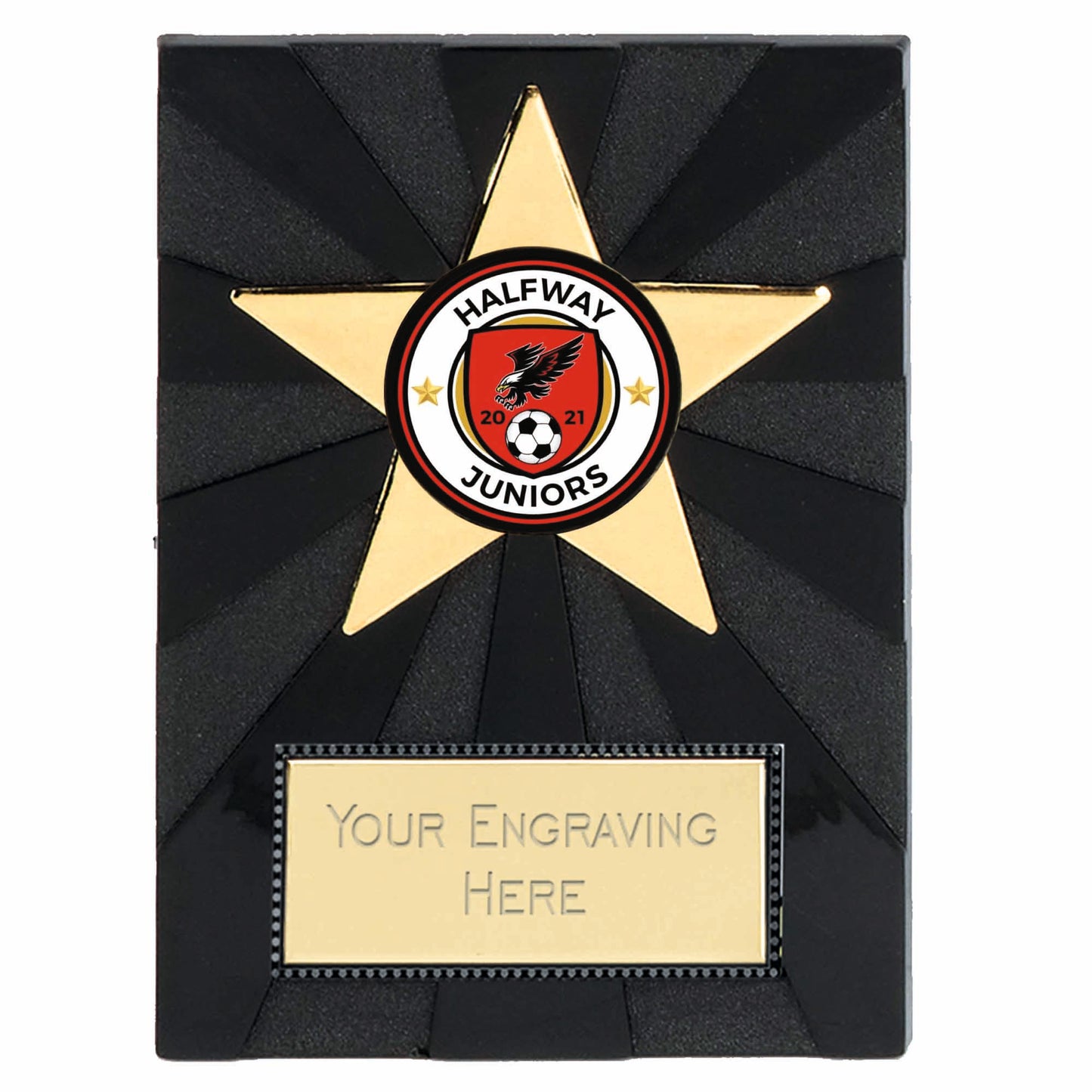 Apex Gold Star Self Standing Plastic Plaque 10cm (4")