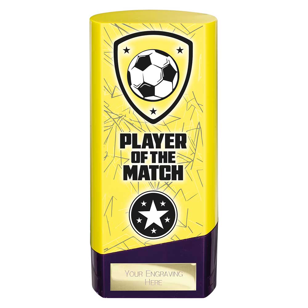 Prime Heavyweight Player of Match