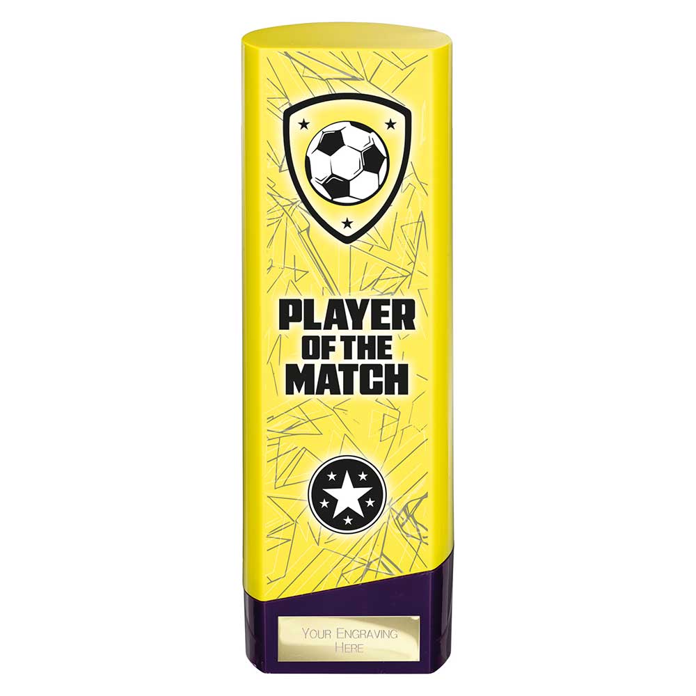 Prime Heavyweight Player of Match