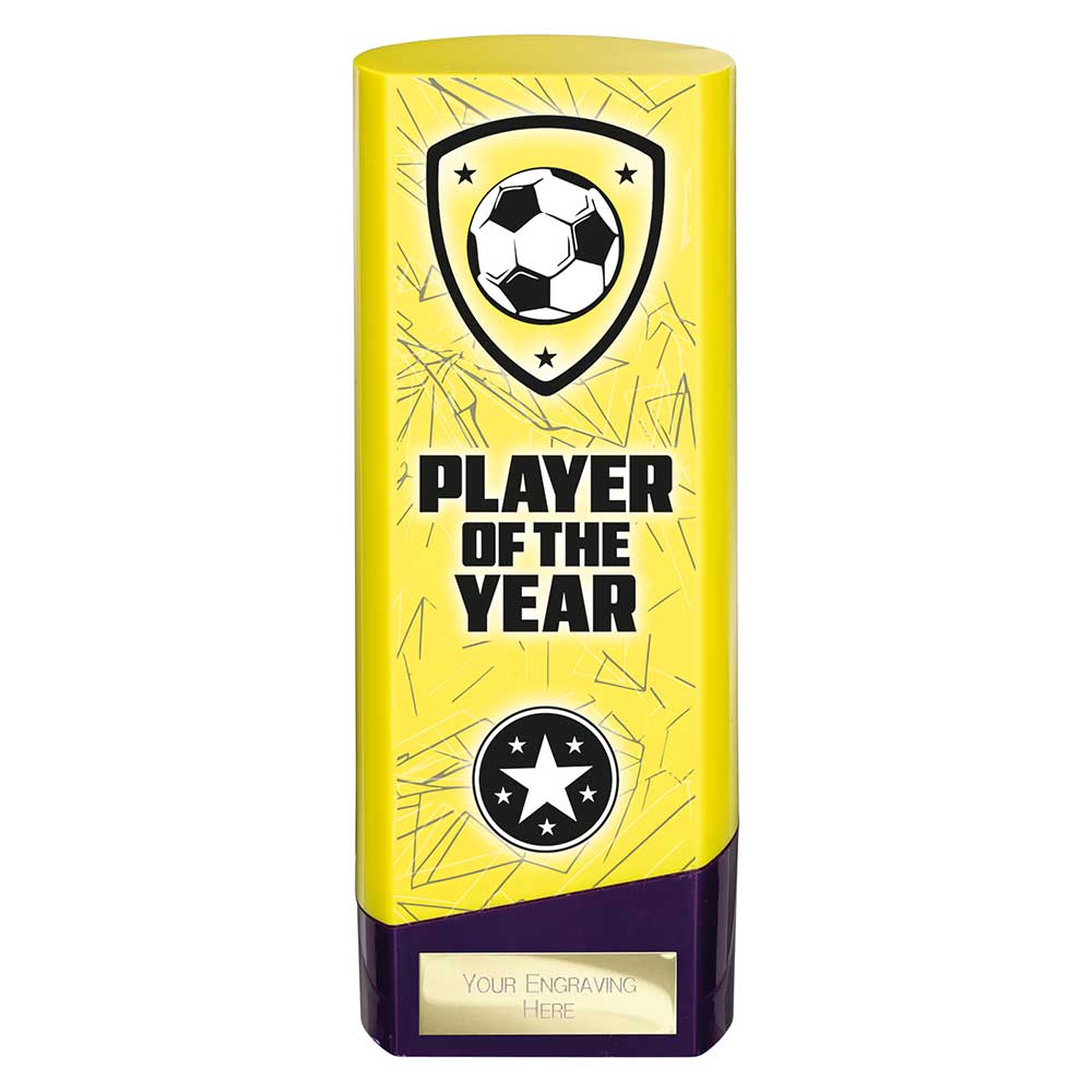 Prime Heavyweight Player of Year