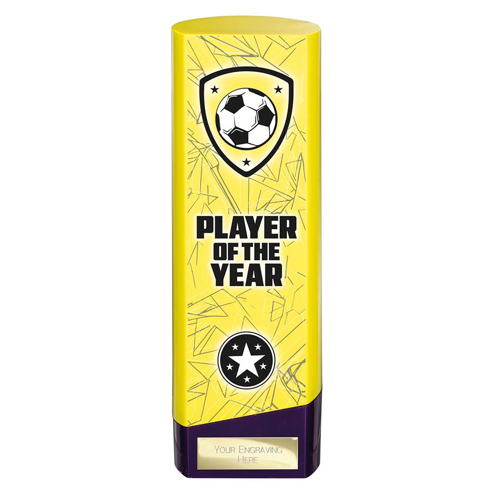 Prime Heavyweight Player of Year