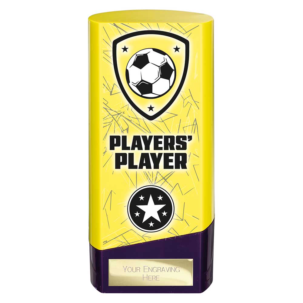 Prime Heavyweight Players Player