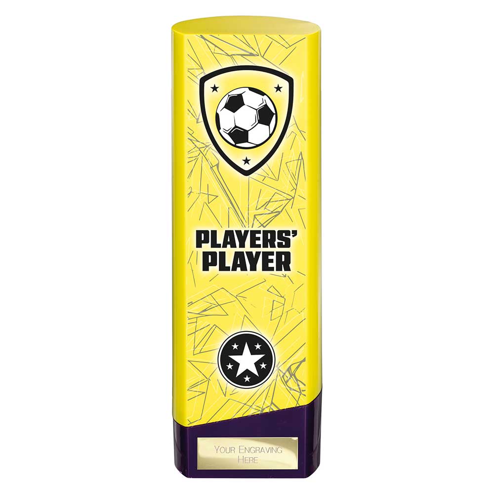 Prime Heavyweight Players Player