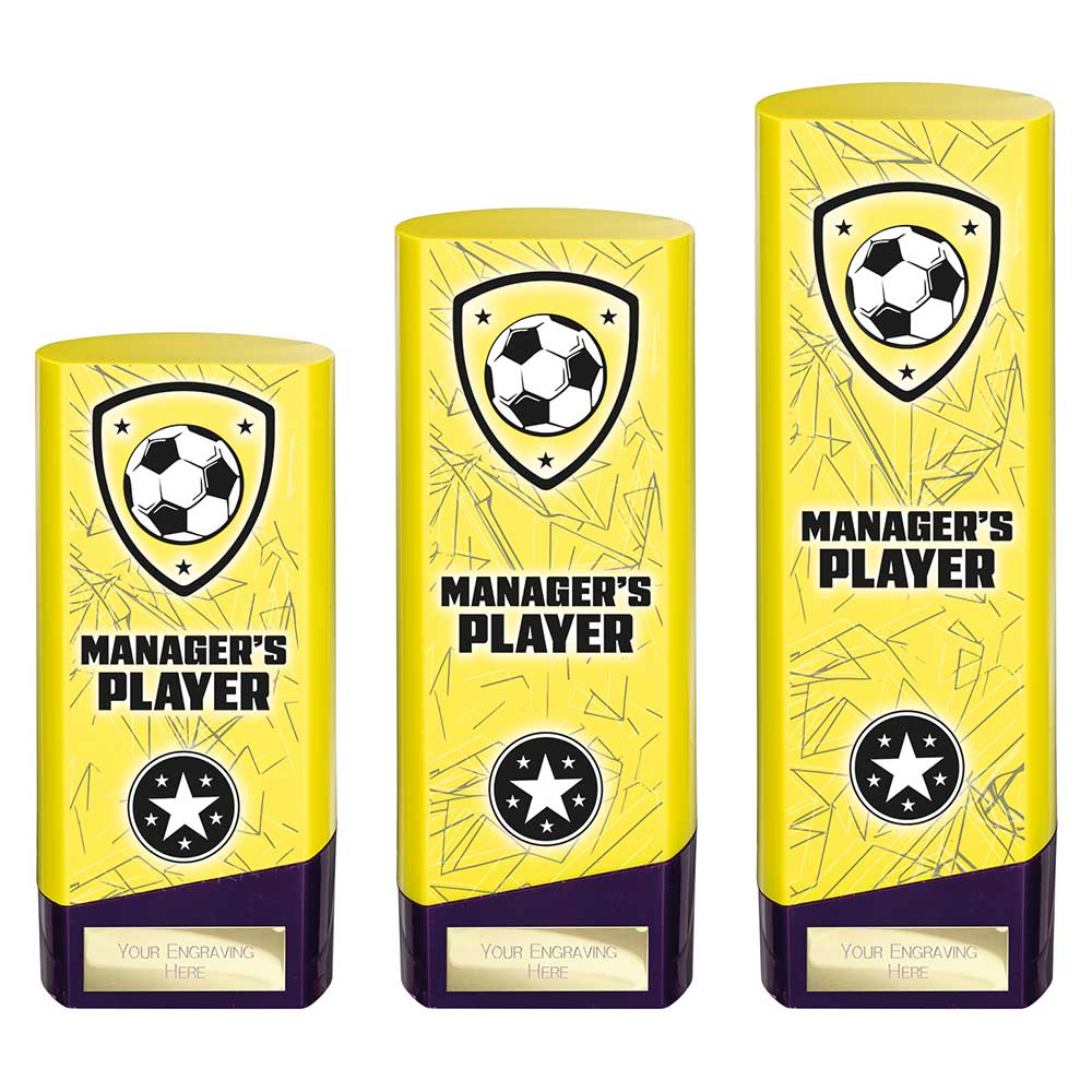 Prime Heavyweight Managers Player