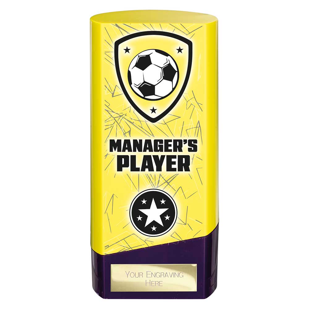 Prime Heavyweight Managers Player