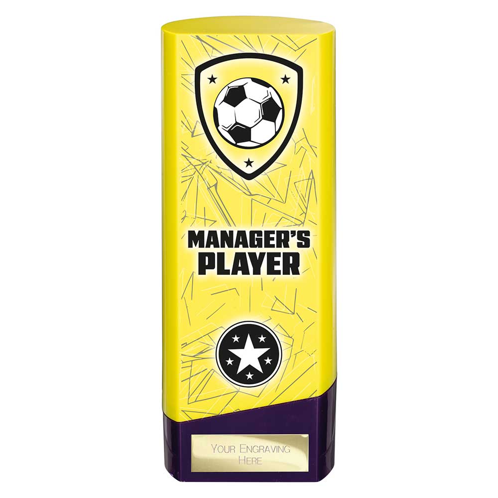 Prime Heavyweight Managers Player
