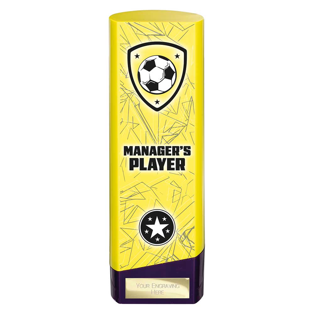 Prime Heavyweight Managers Player