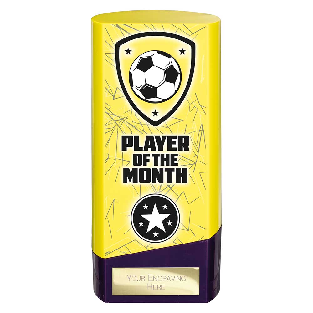 Prime Heavyweight Player of Month
