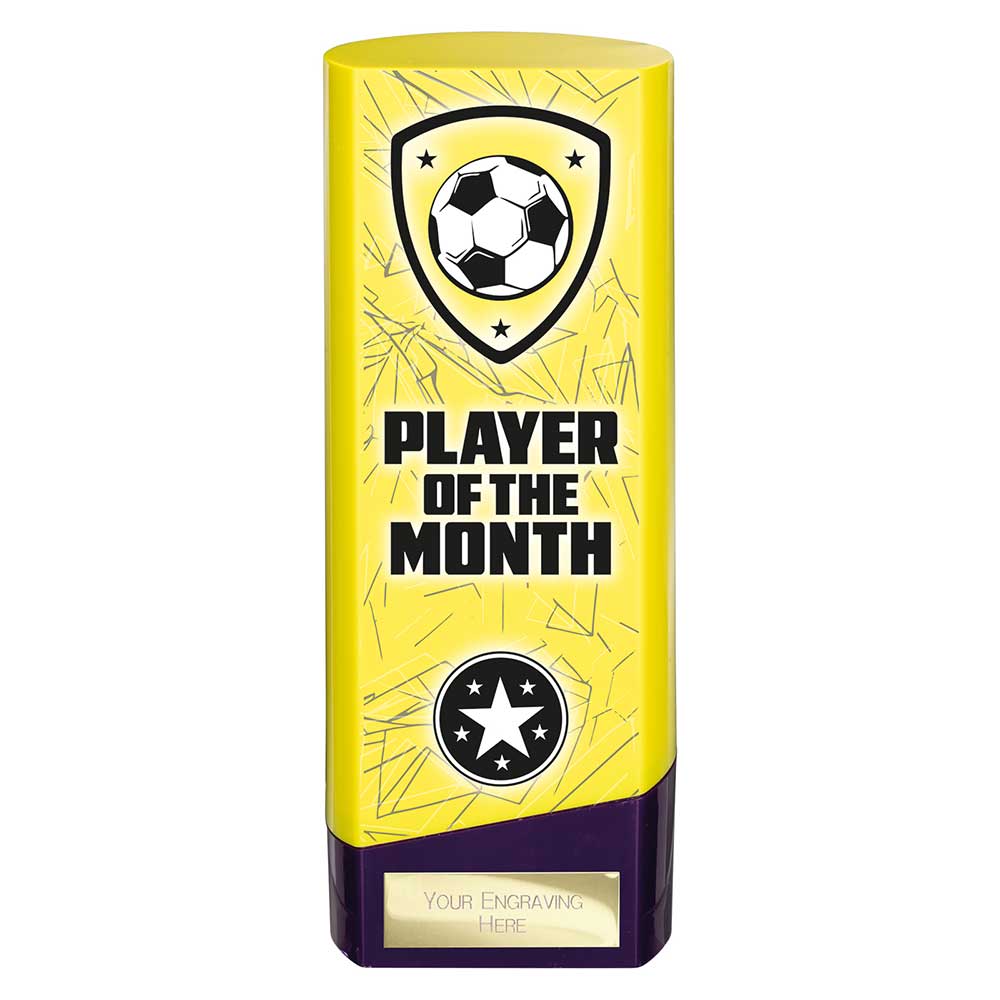 Prime Heavyweight Player of Month
