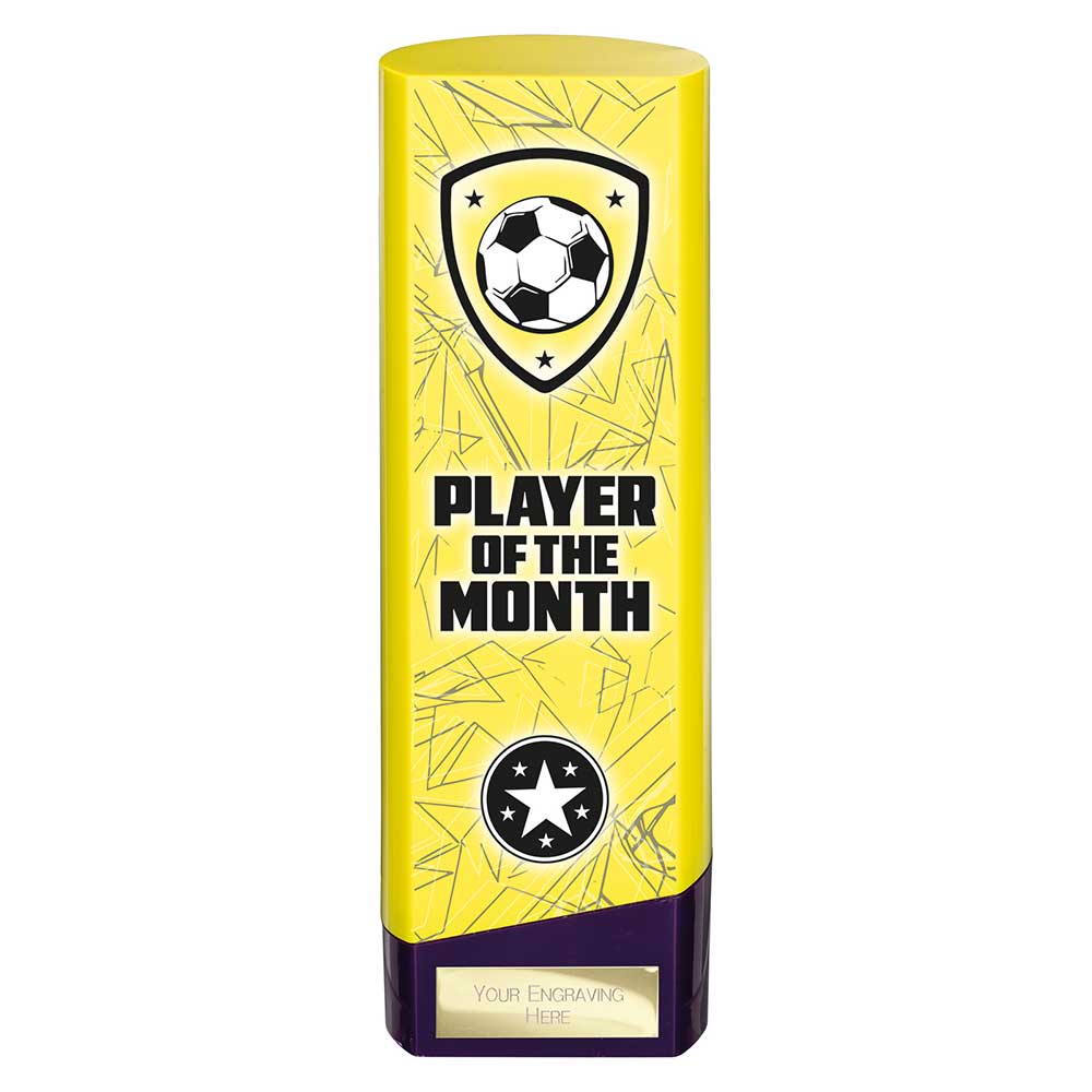 Prime Heavyweight Player of Month