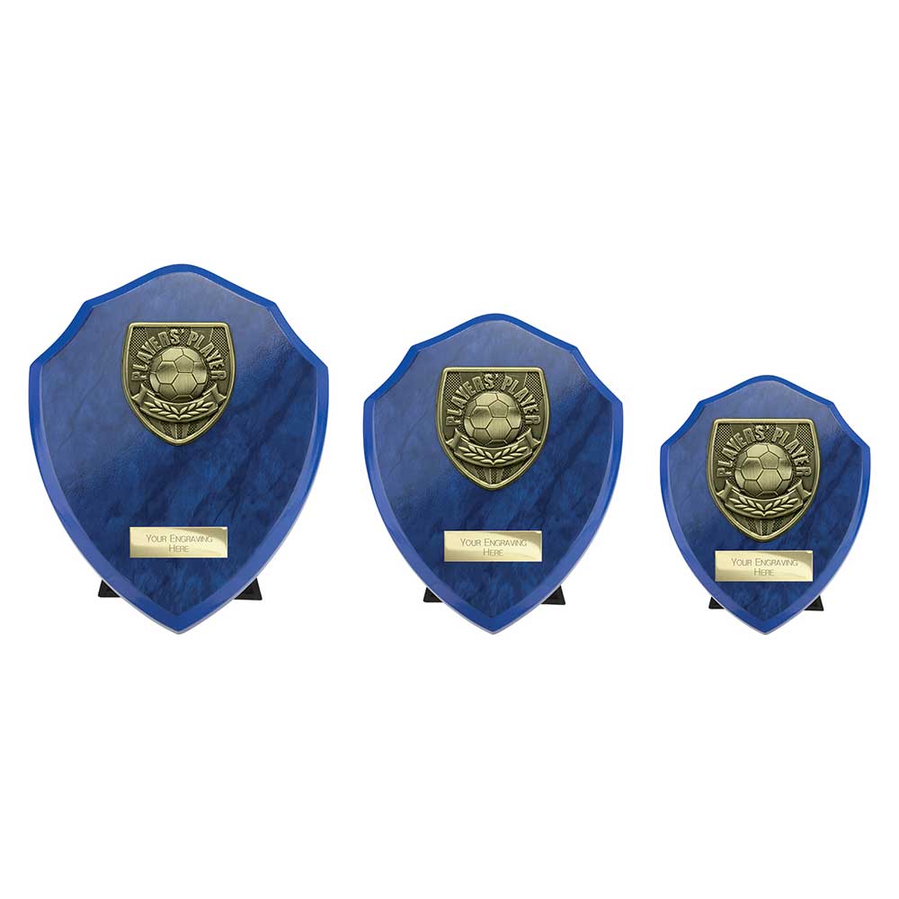 Cobra Shield Players Player Award
