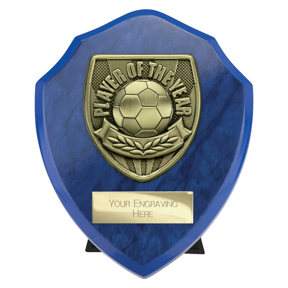 Cobra Shield Player of Year Award