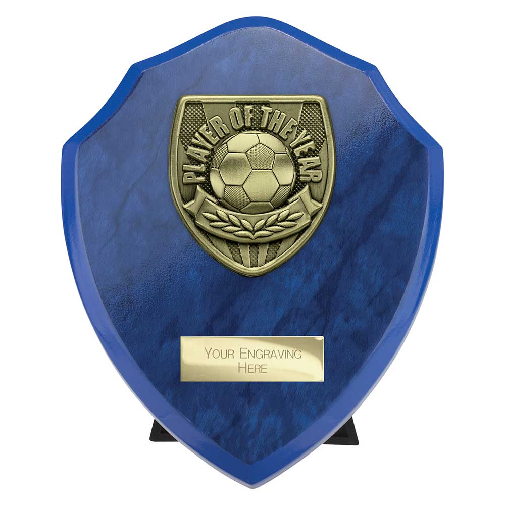Cobra Shield Player of Year Award