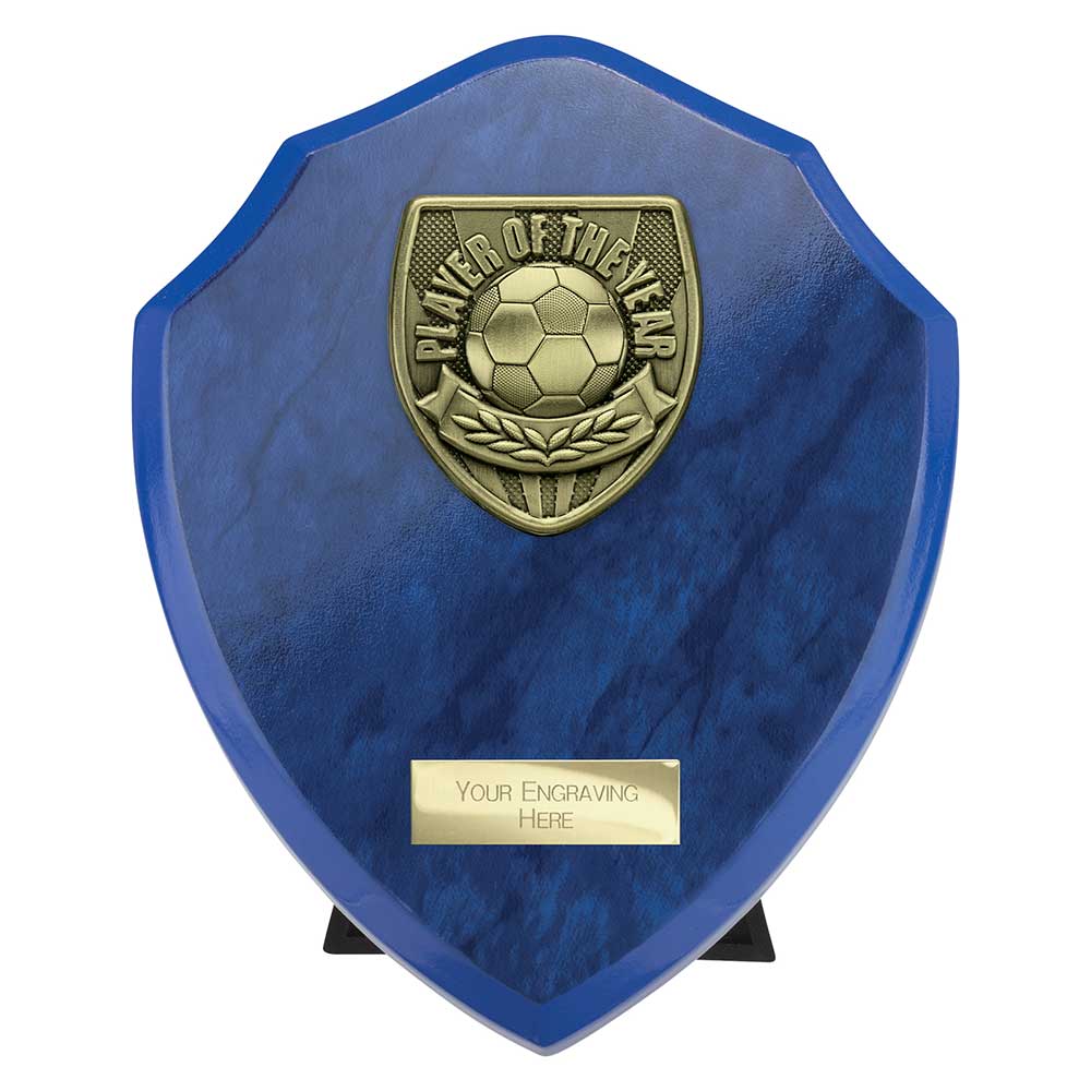 Cobra Shield Player of Year Award