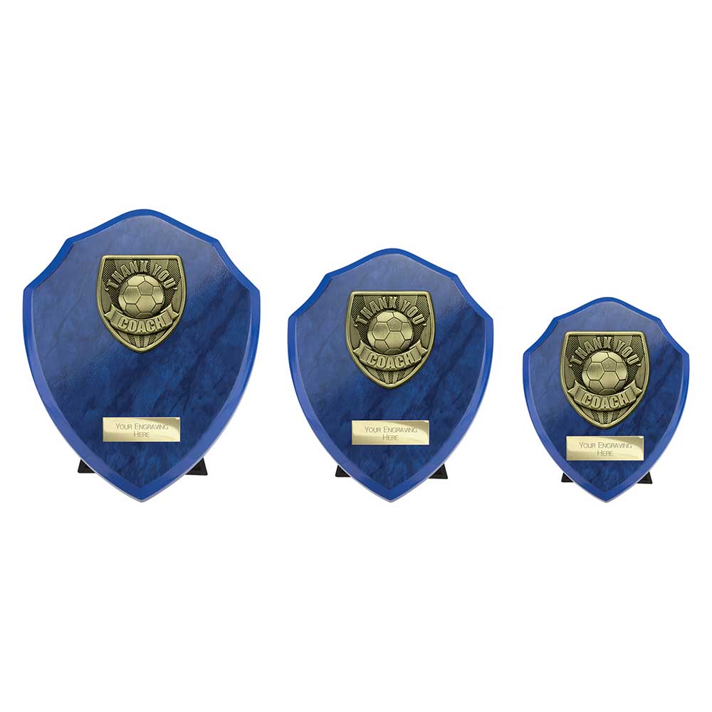 Cobra Shield Thank you Coach Award