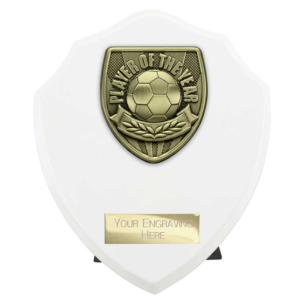 Cobra Shield Player of Year Award