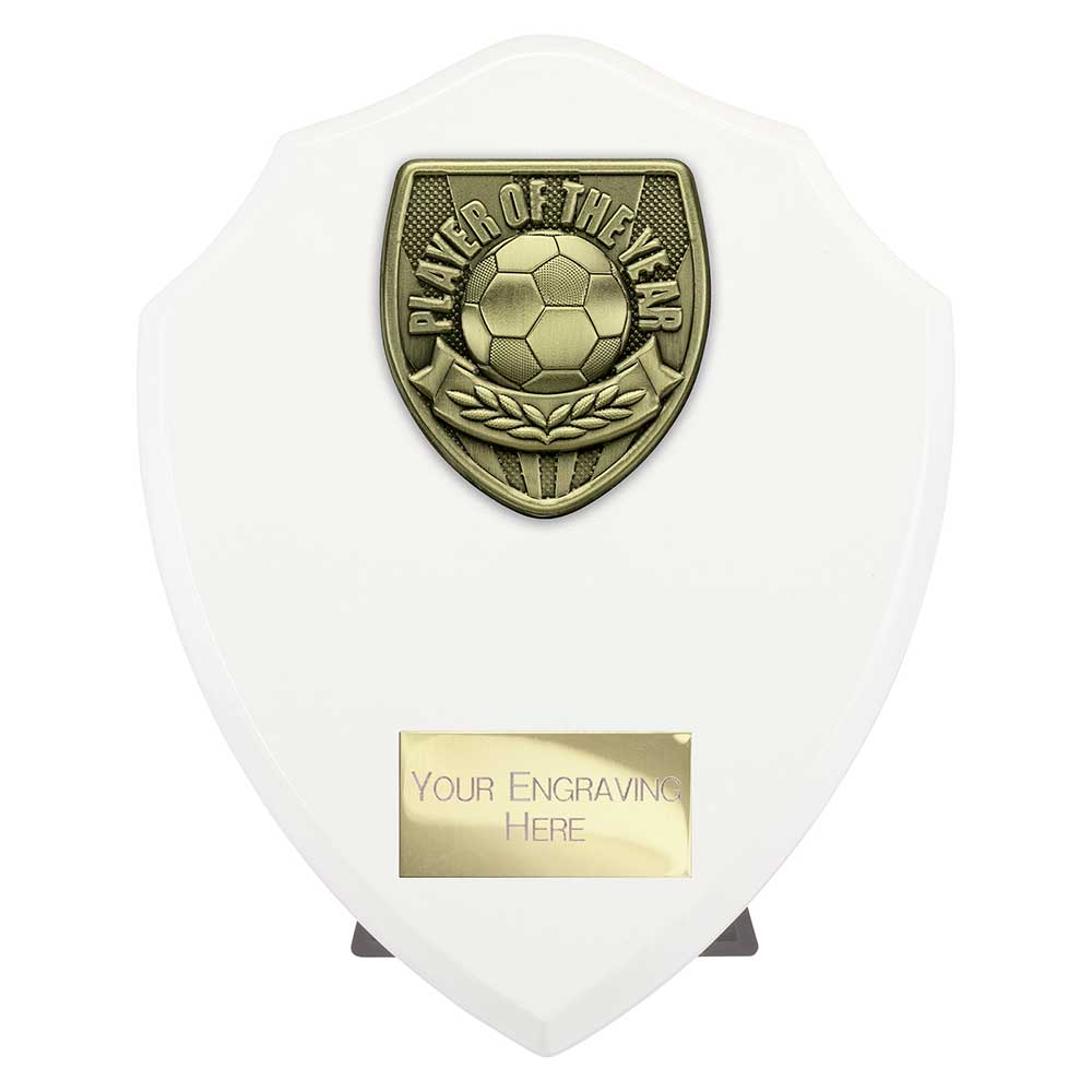 Cobra Shield Player of Year Award