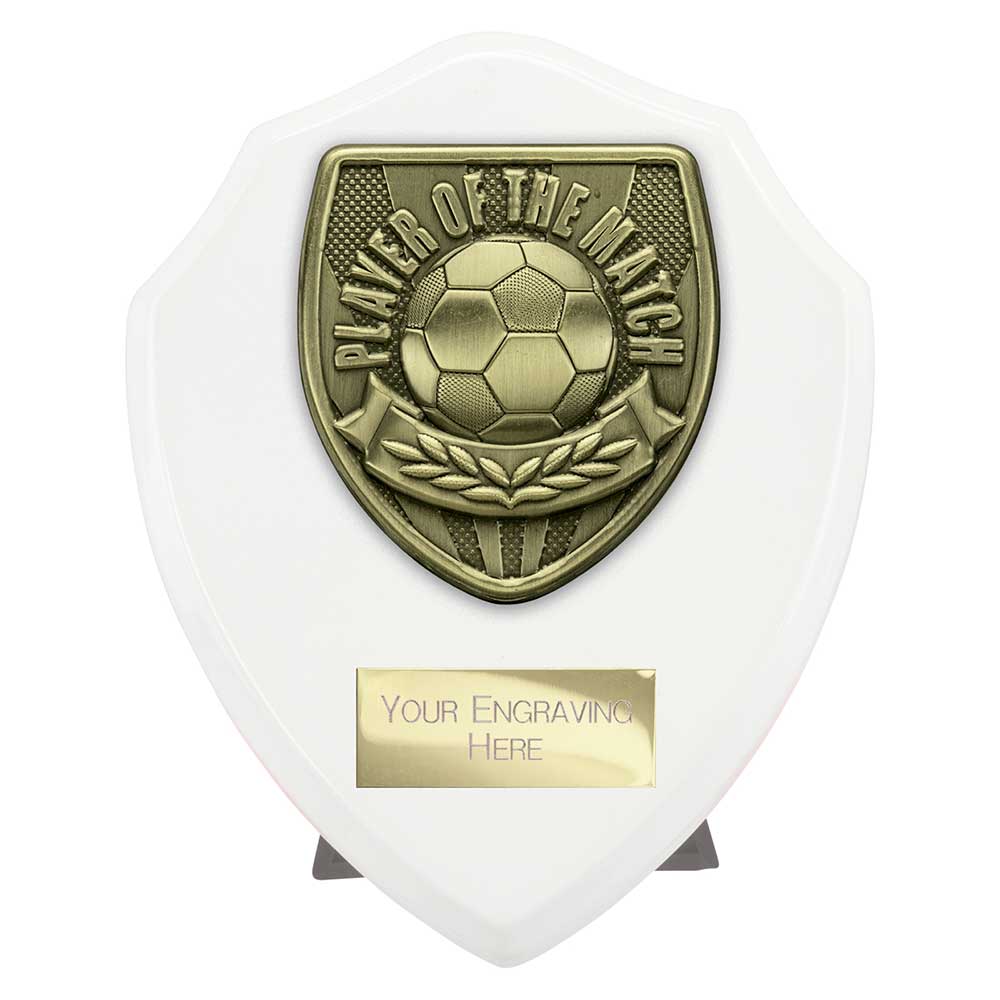 Cobra Shield Player of Match Award