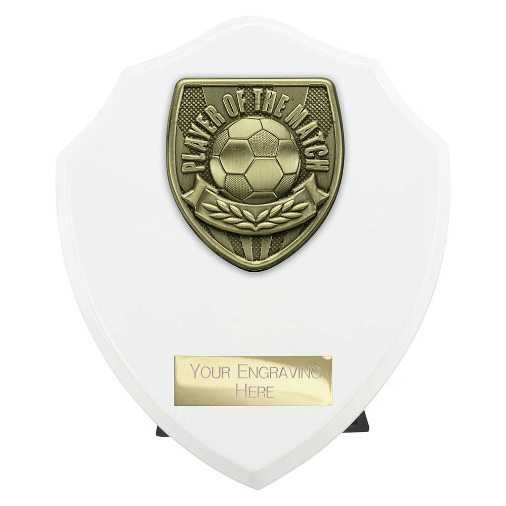 Cobra Shield Player of Match Award