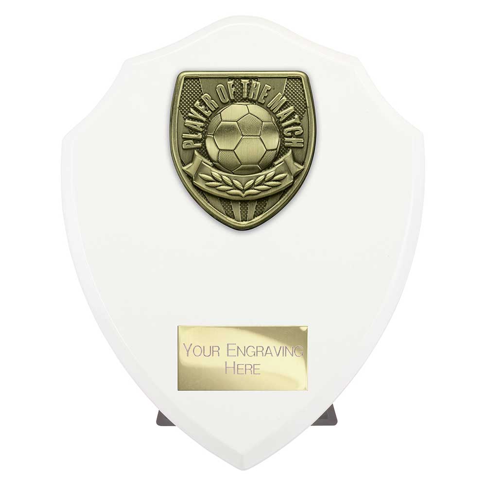 Cobra Shield Player of Match Award