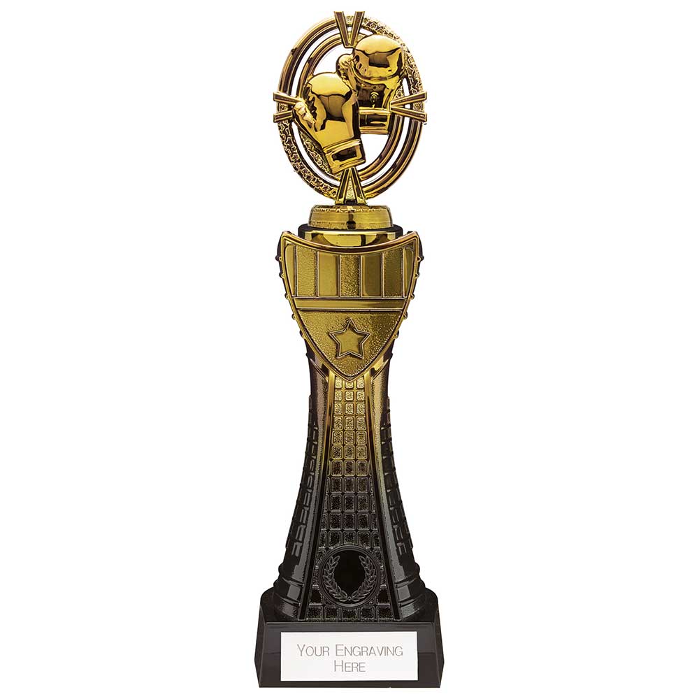 Maverick Heavyweight Boxing Award