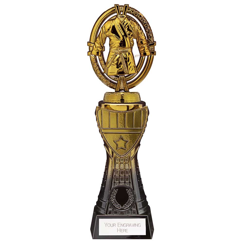 Maverick Heavyweight Martial Arts Award