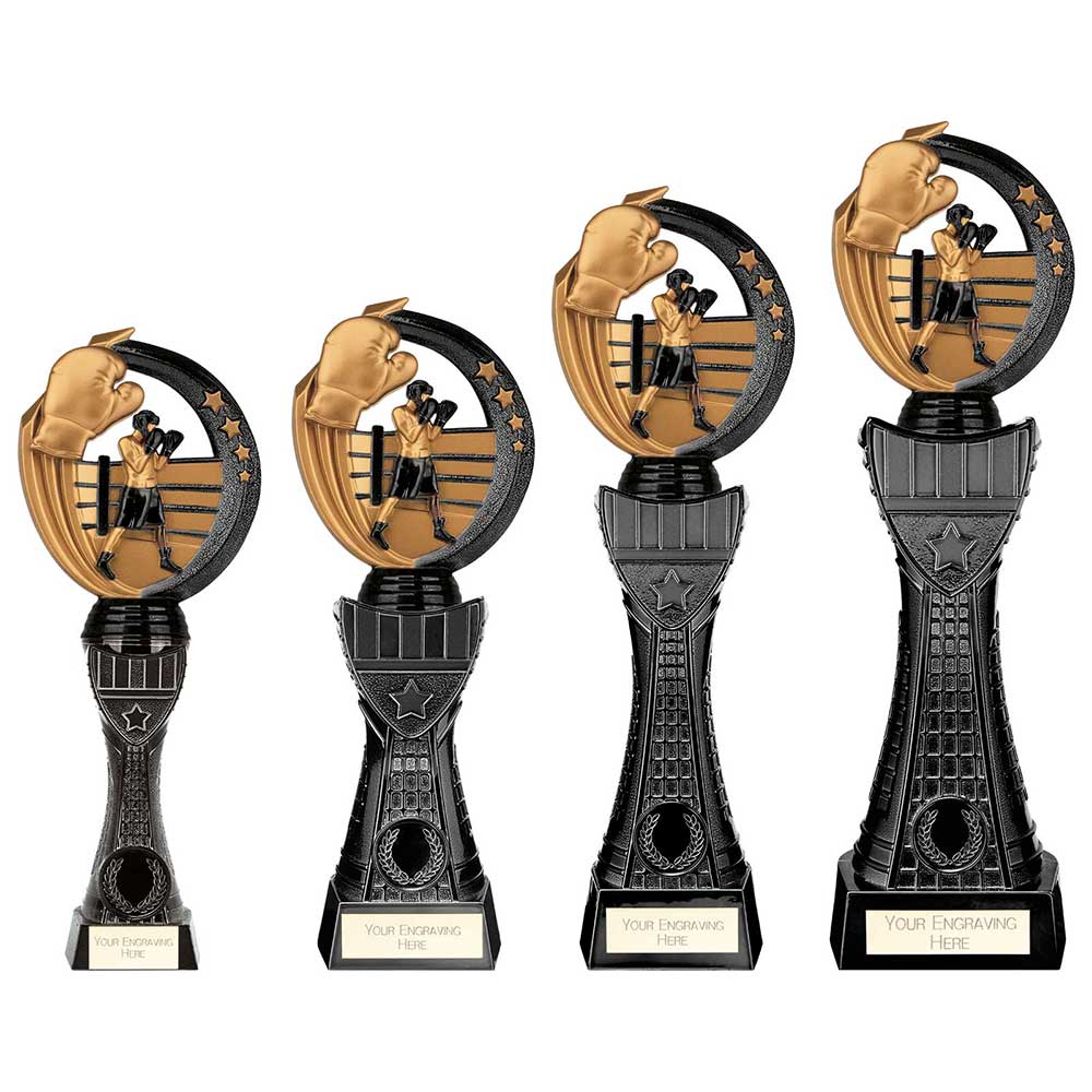 Renegade Heavyweight Boxing Award