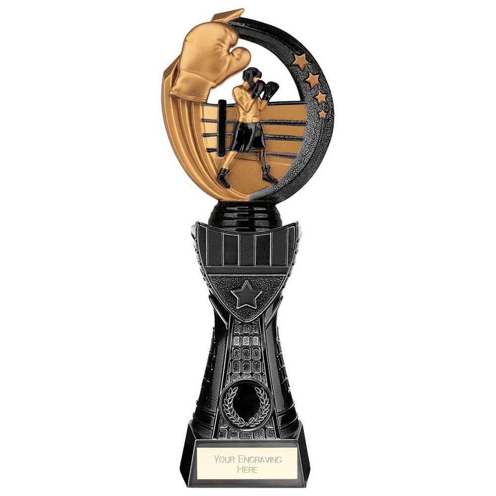 Renegade Heavyweight Boxing Award