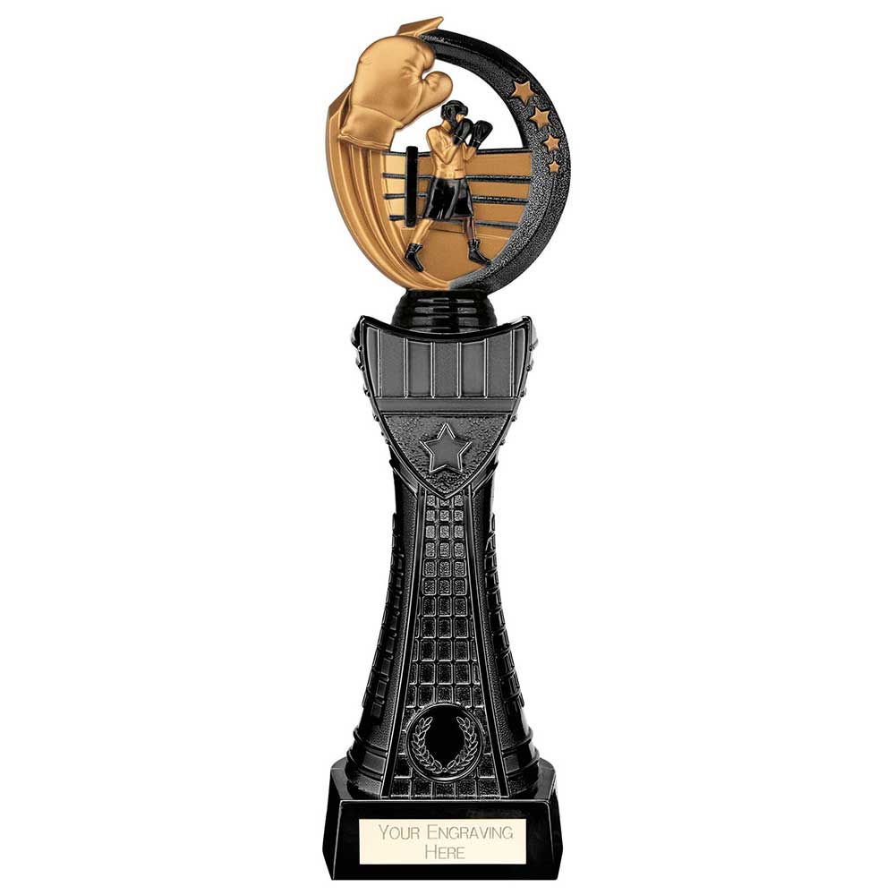 Renegade Heavyweight Boxing Award