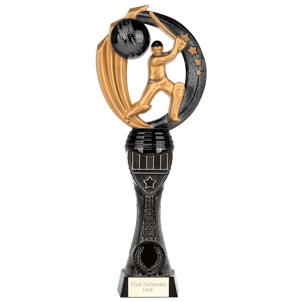Renegade Heavyweight Cricket Award