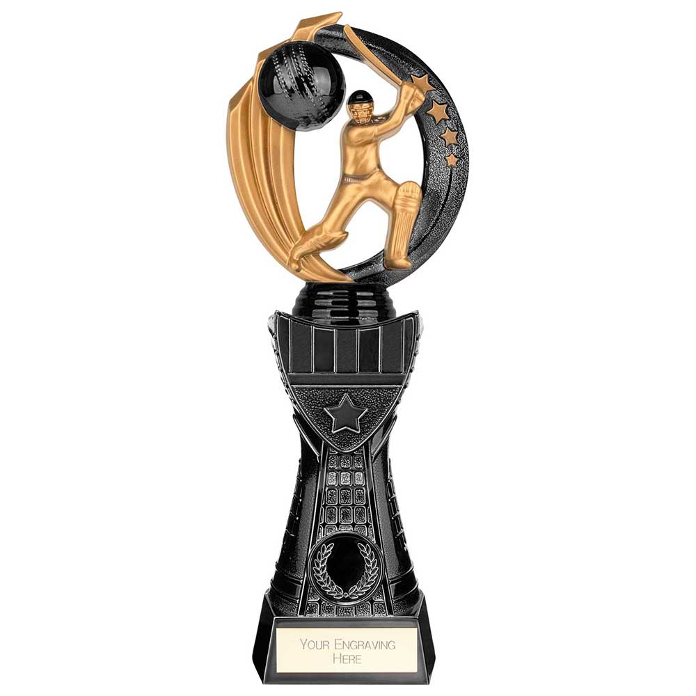Renegade Heavyweight Cricket Award