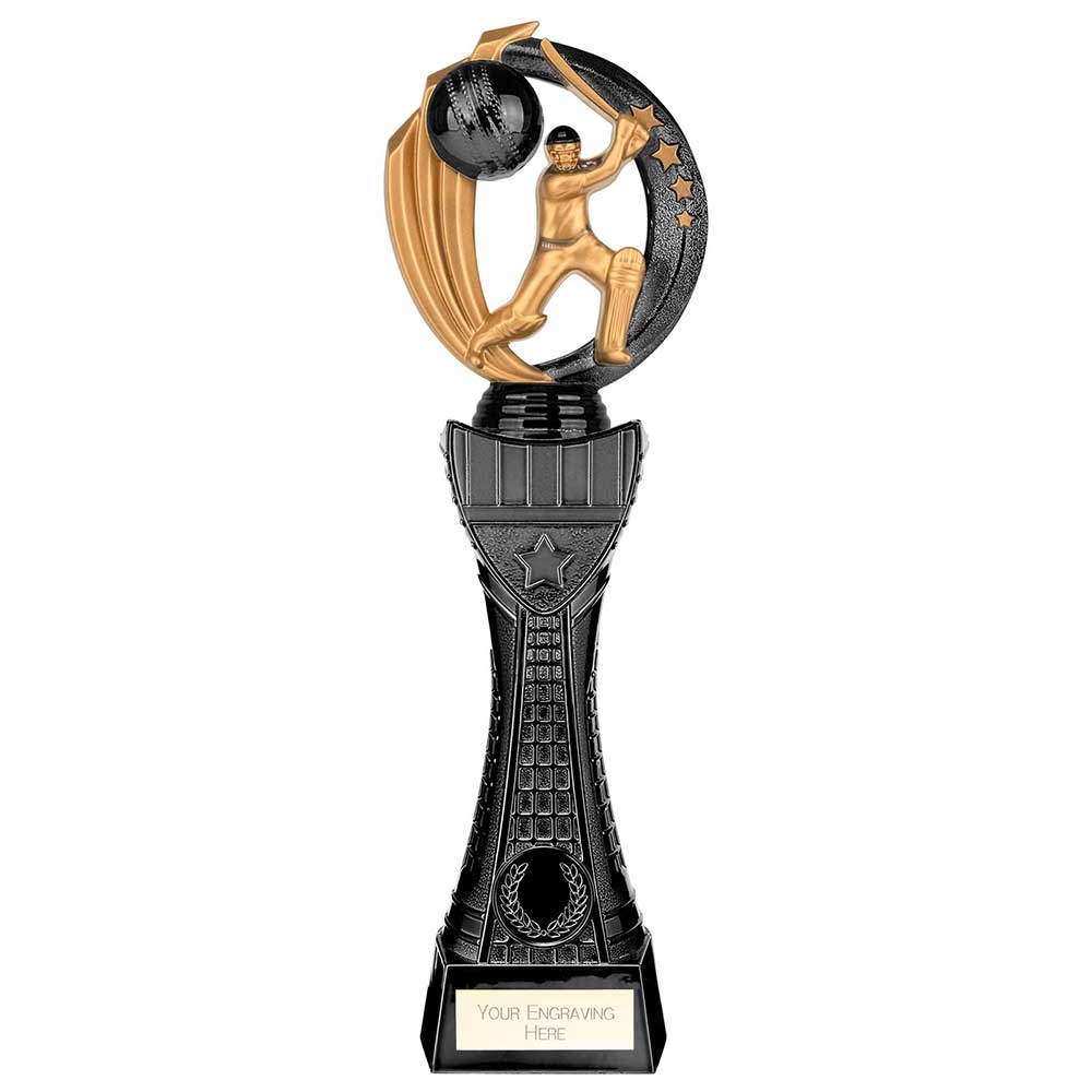 Renegade Heavyweight Cricket Award