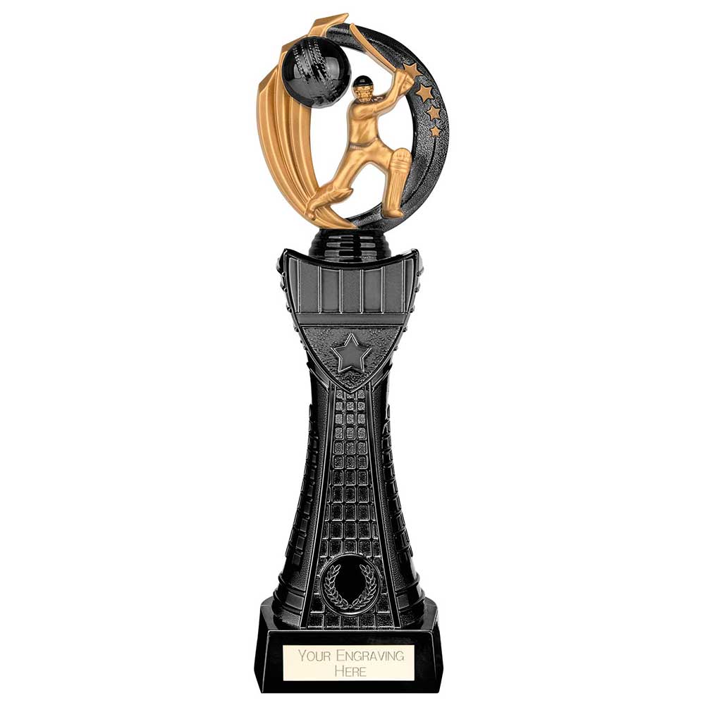 Renegade Heavyweight Cricket Award