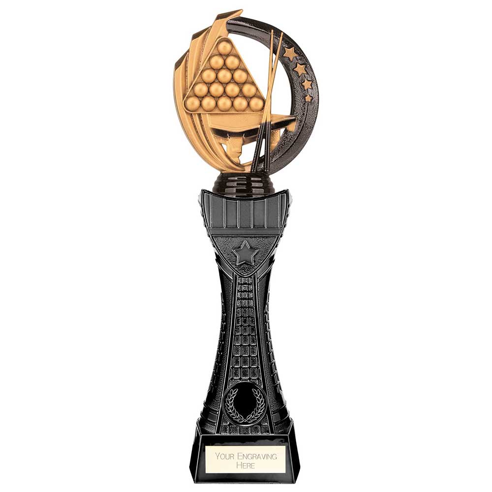 Renegade Heavyweight Snooker Award