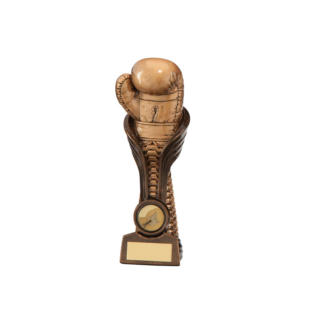 Gauntlet Boxing Award