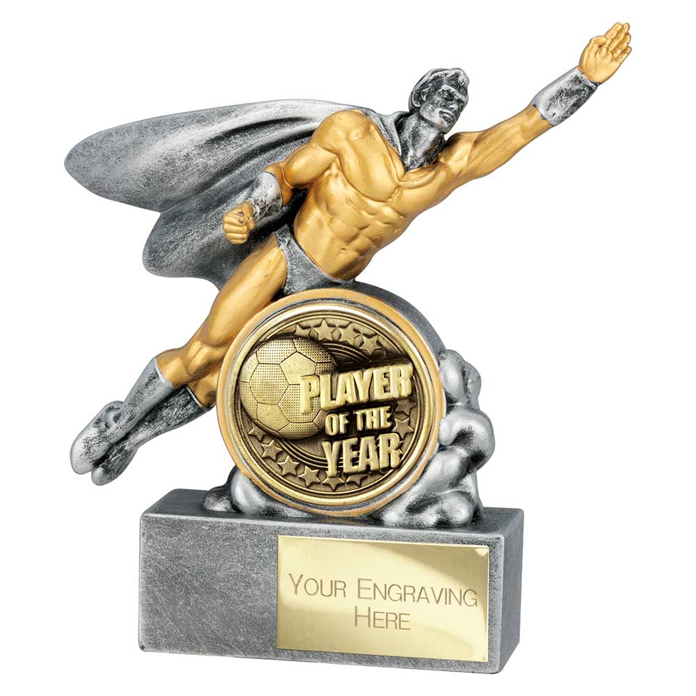 Hero Male Player of Year Award