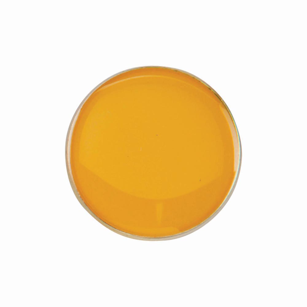 Scholar Pin Badge Round