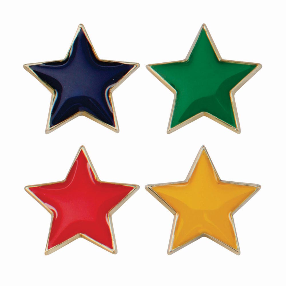 Scholar Pin Badge Star