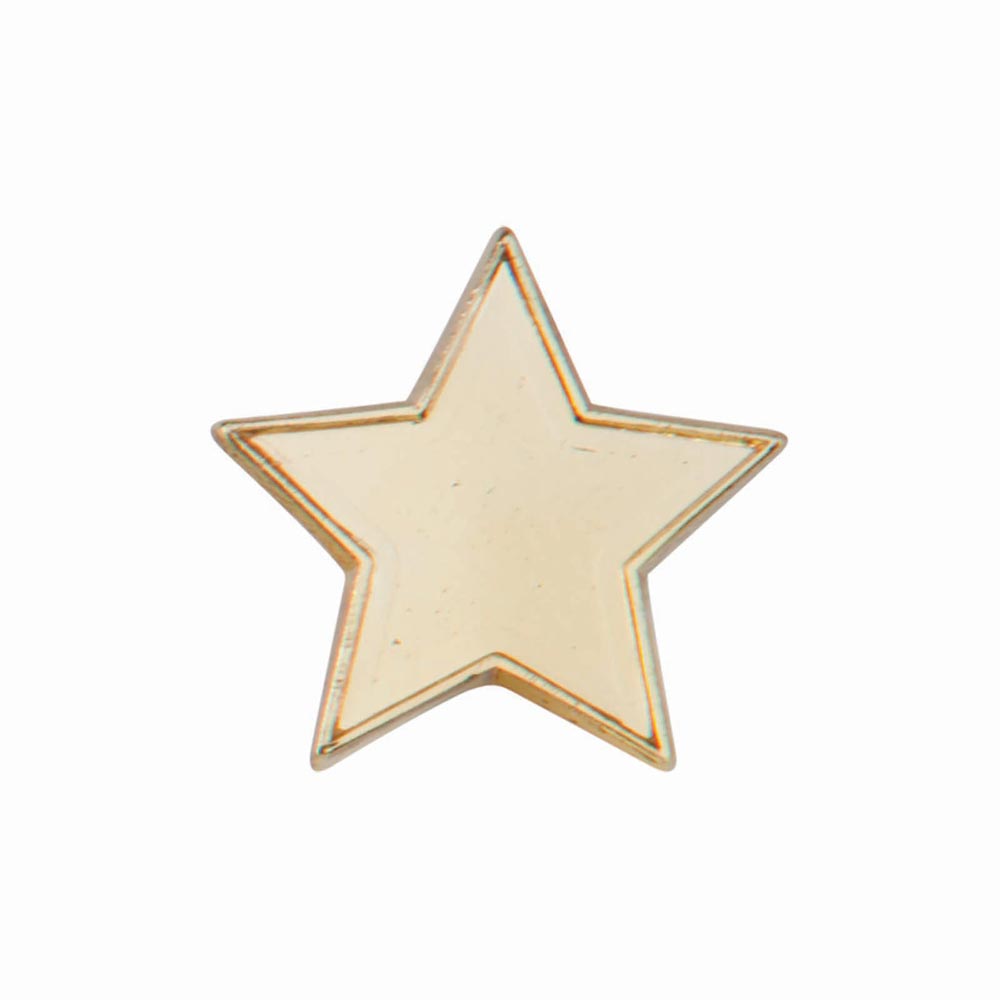 Scholar Pin Badge Star