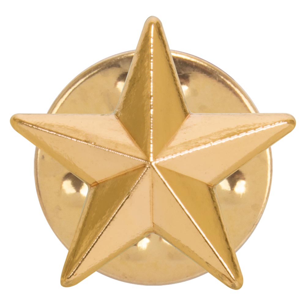 3D Bronze Star Pin Badge