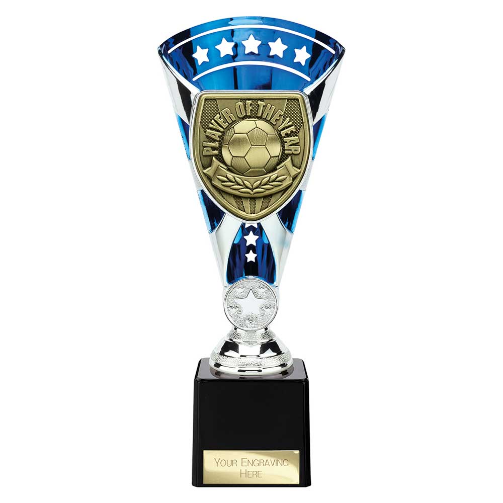 Cobra Star Cup Player of Year