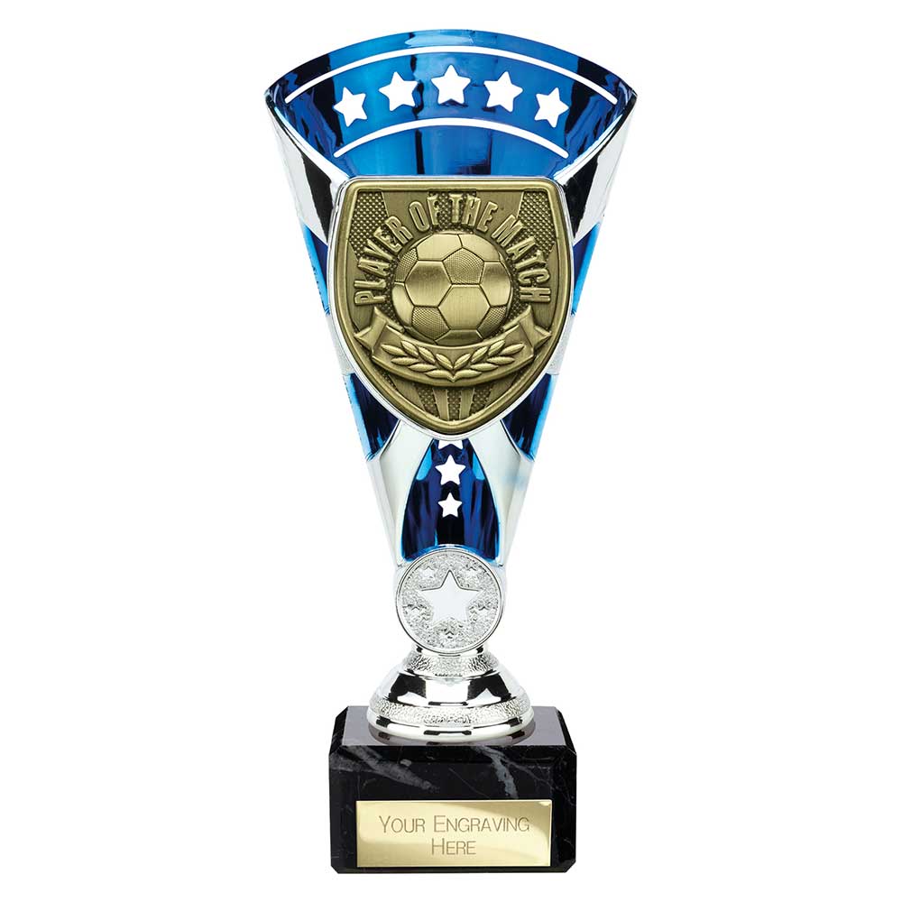 Cobra Star Cup Player of Match