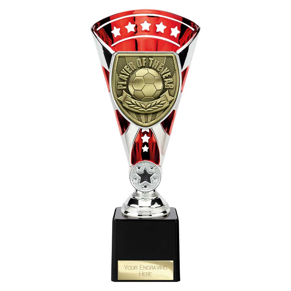 Cobra Star Cup Player of Year