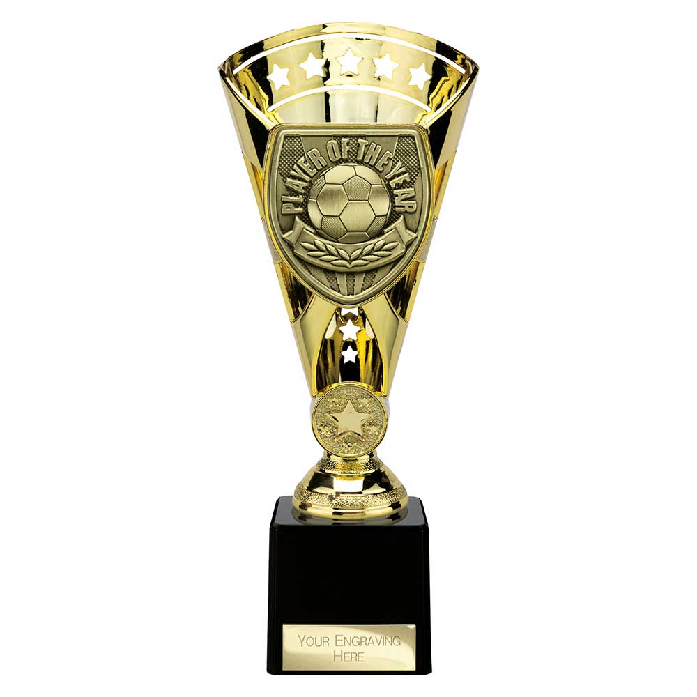 Cobra Star Cup Player of Year