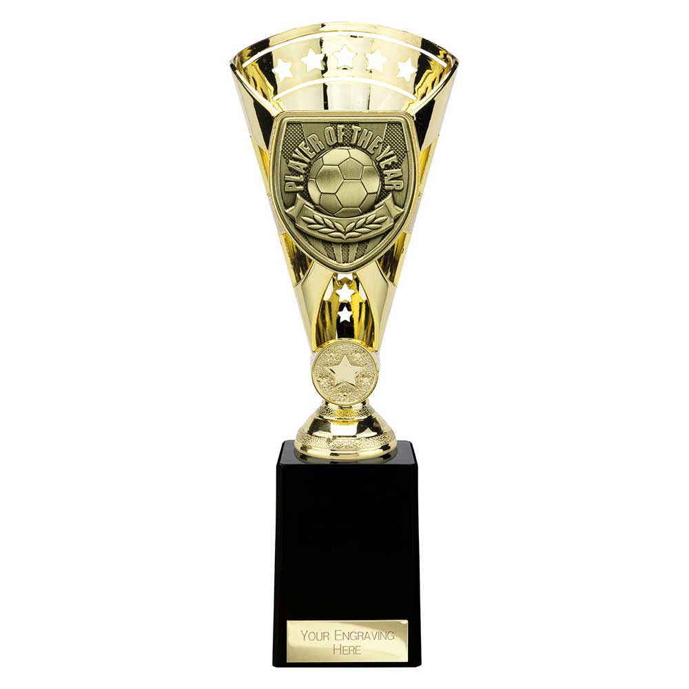 Cobra Star Cup Player of Year