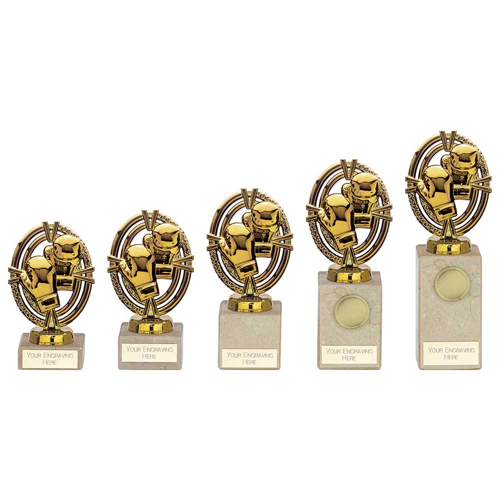 Maverick Legend Boxing Award