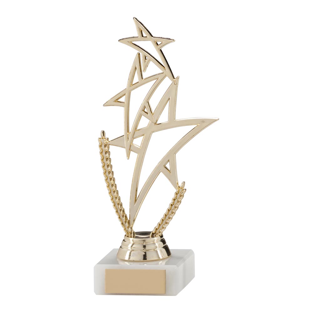 Rising Star Multi-Sport Trophy