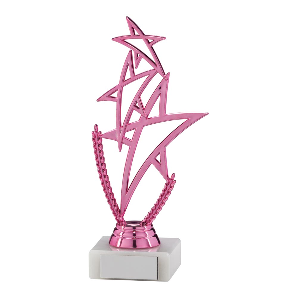 Rising Star Multi-Sport Trophy